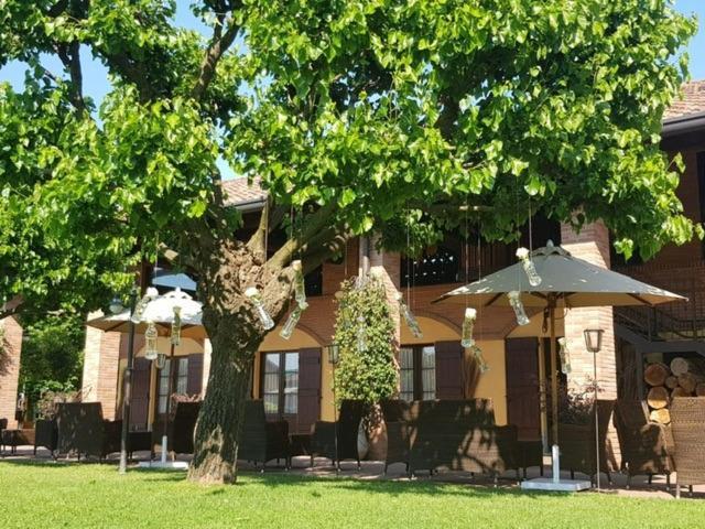 קונקורצו Agriturismo La Camilla מראה חיצוני תמונה